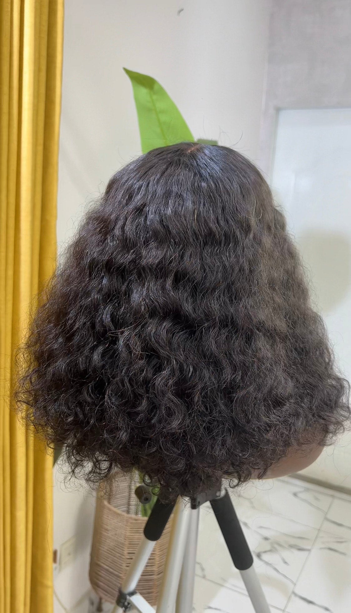 RUSSIAN CURLY