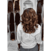 14 Donor Wavy Brown Highlights HD 5x5